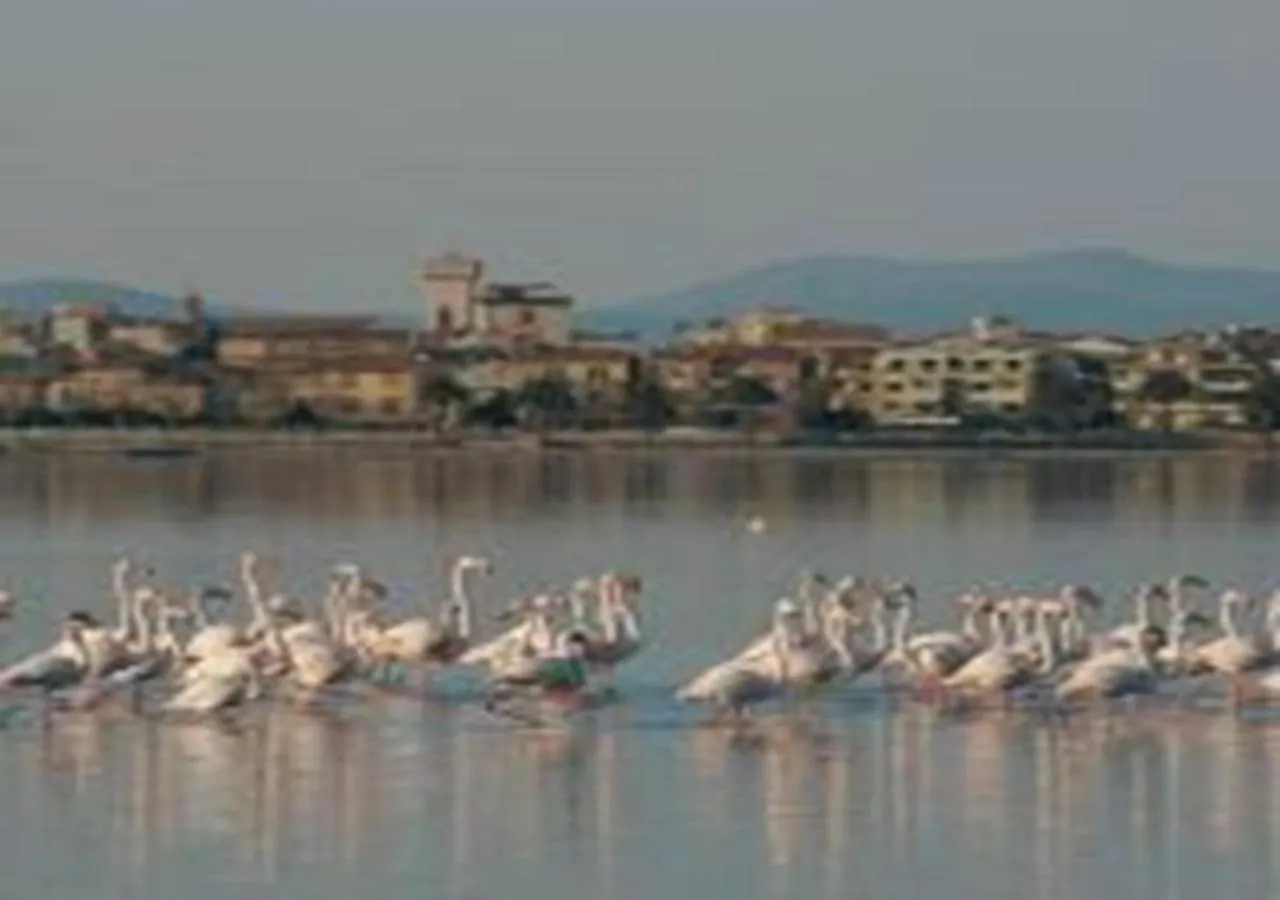 Holiday home Orbetello Appartamento Accogliente Con Parcheggio Gratuito